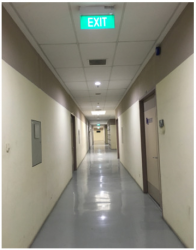 Focus One Building @ Ubi View