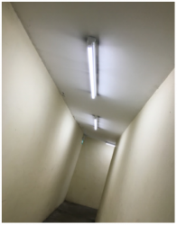 Focus One Building @ Ubi View